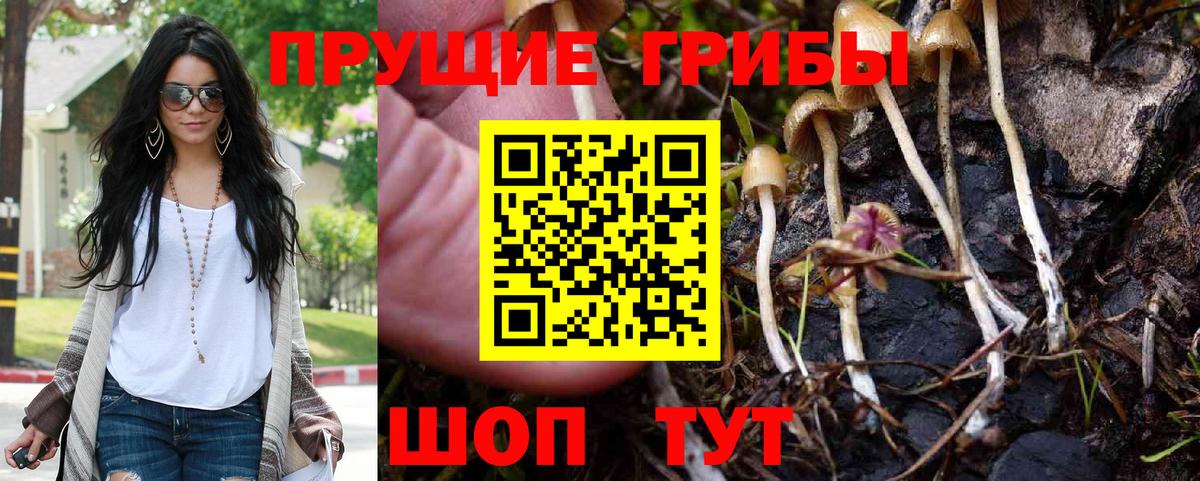Псилоцибиновые грибы MAGIC MUSHROOMS Калач-на-Дону