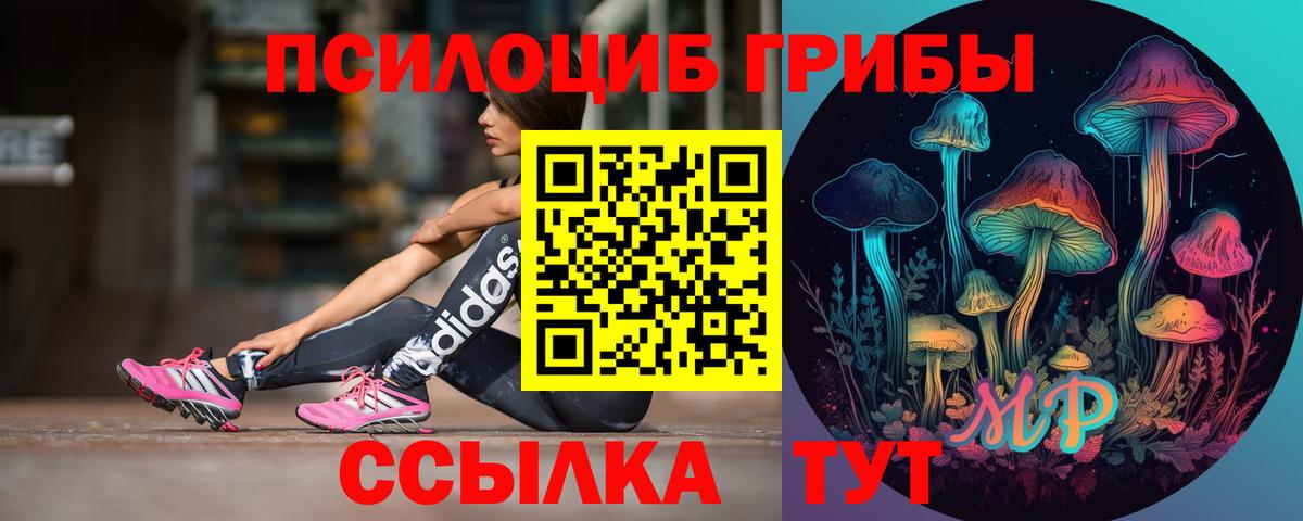 продажа наркотиков  Галлюциногенные грибы Cubensis  Вход с VPN  Псилоцибиновые грибы MAGIC MUSHROOMS  Калач-на-Дону 